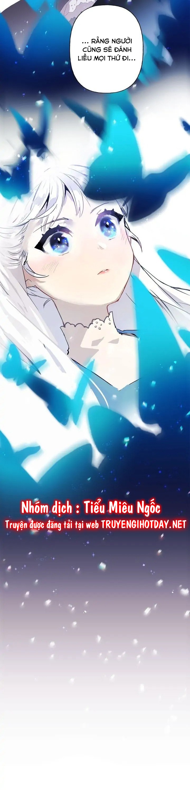 bình tĩnh nào, tiểu thư! chapter 1 5