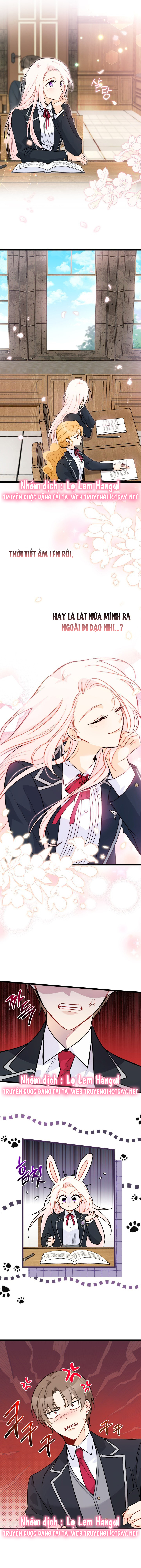 mối liên kết giữa báo đen và bé thỏ chapter 126.1 8