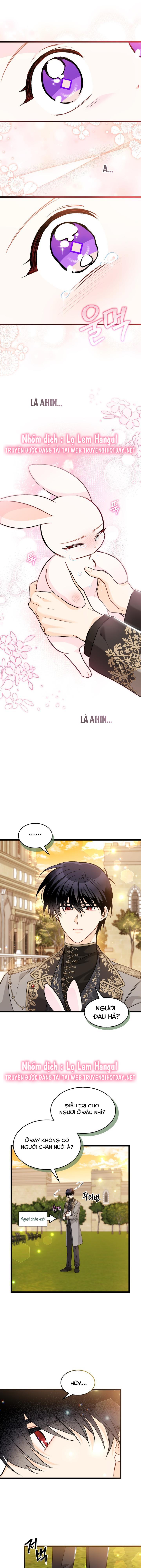 mối liên kết giữa báo đen và bé thỏ chapter 128.1 5
