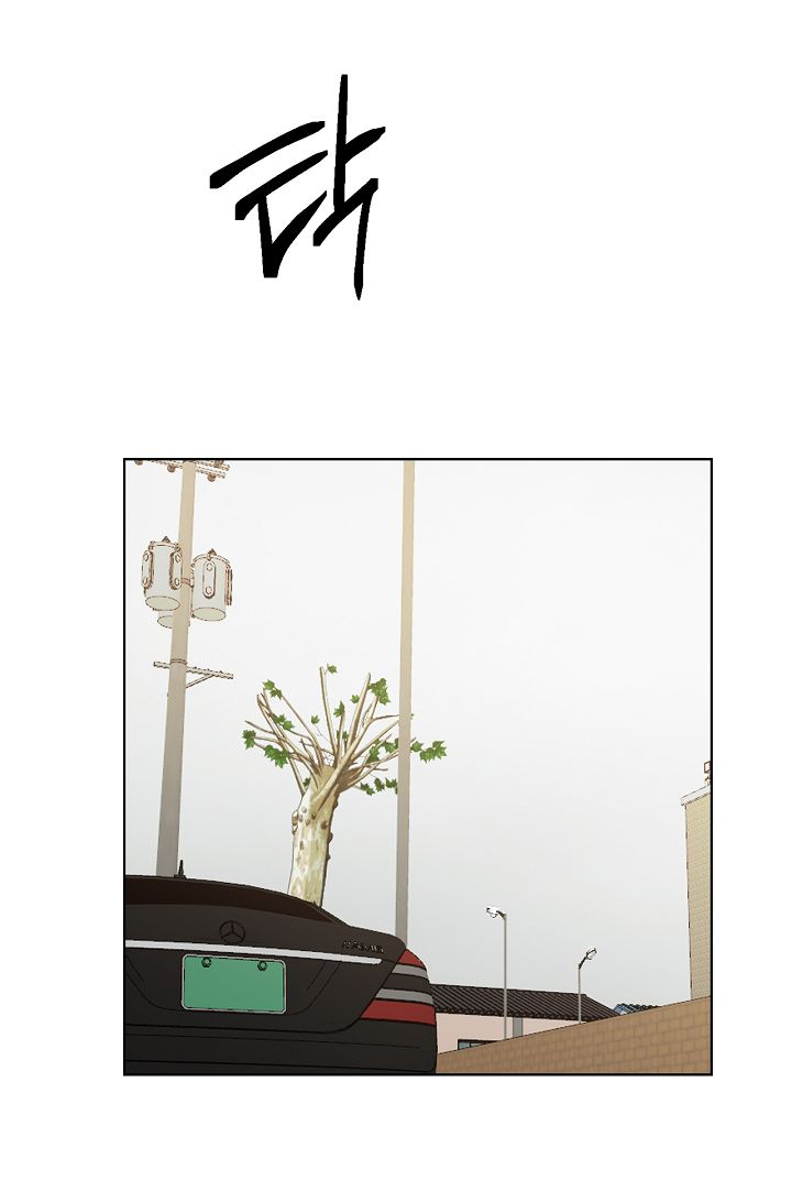 Chỉ Là Ánh Bình Minh chapter 30.2 END SS1 55