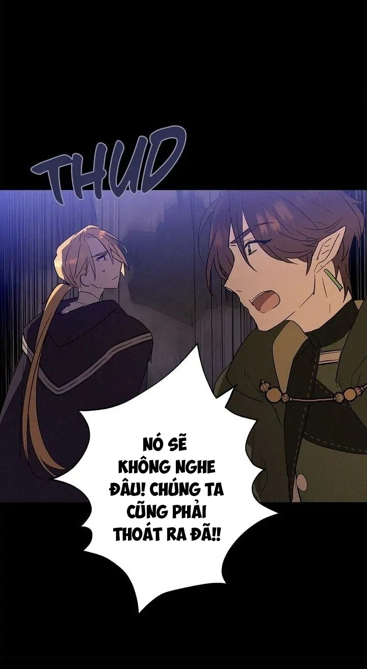 bình tĩnh nào, tiểu thư! chapter 13 30