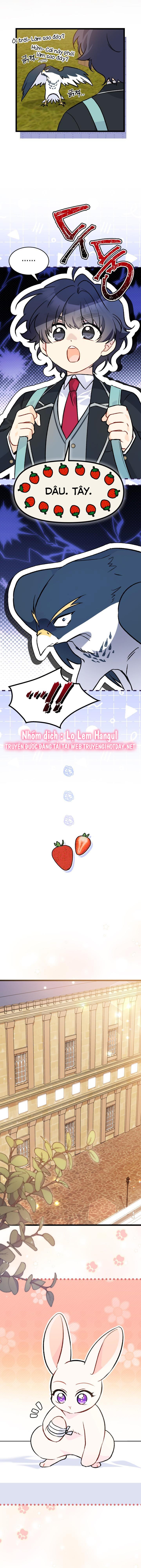 mối liên kết giữa báo đen và bé thỏ chapter 128.1 10