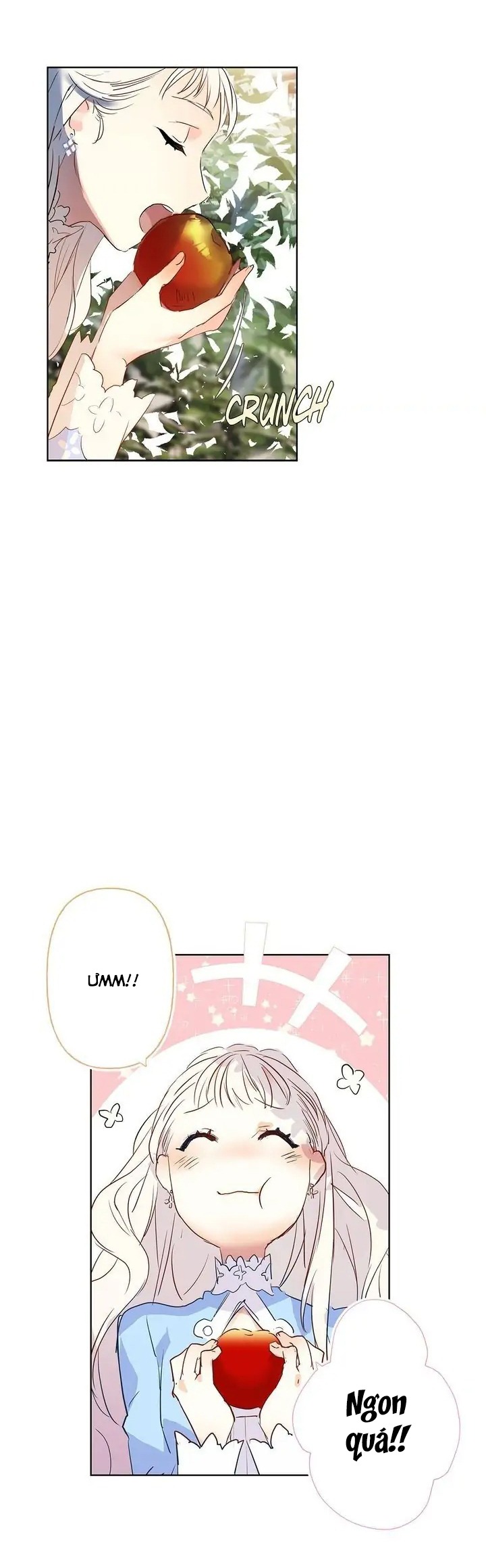 bình tĩnh nào, tiểu thư! chapter 1 16