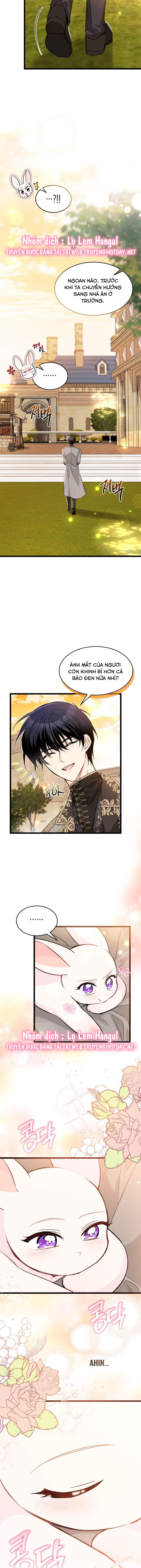 mối liên kết giữa báo đen và bé thỏ chapter 128.1 6
