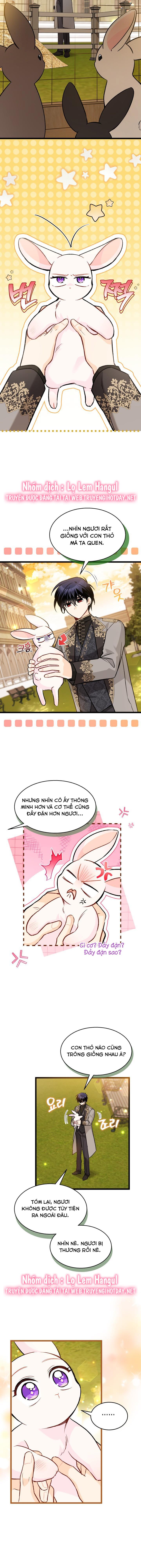 mối liên kết giữa báo đen và bé thỏ chapter 128.1 4