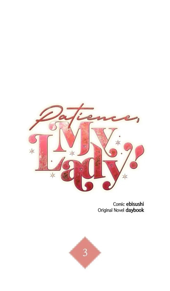 bình tĩnh nào, tiểu thư! chapter 3 2