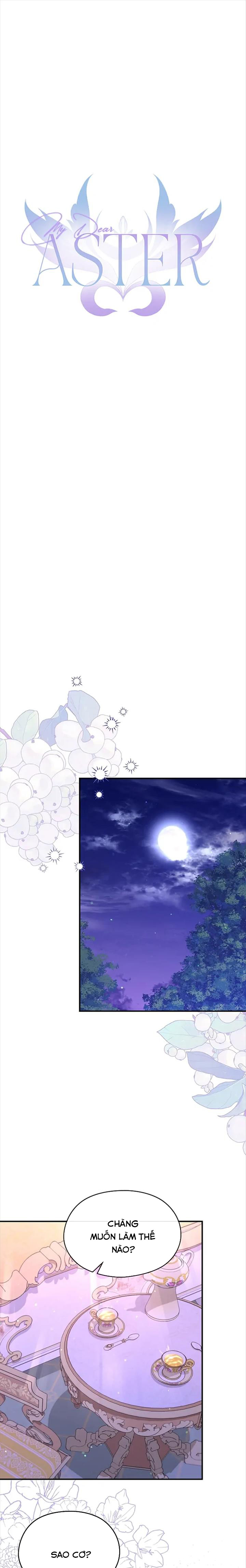 aster yêu dấu của tôi chapter 58 13