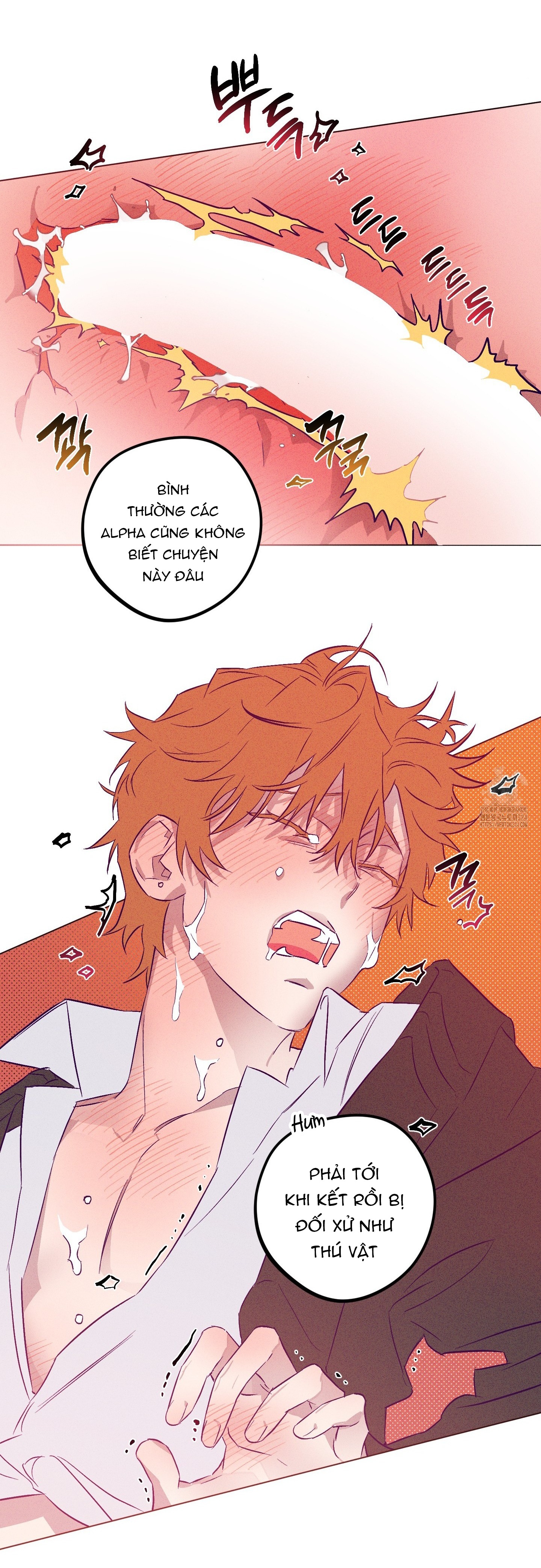 phi vụ nơi trại giam chapter 9 17