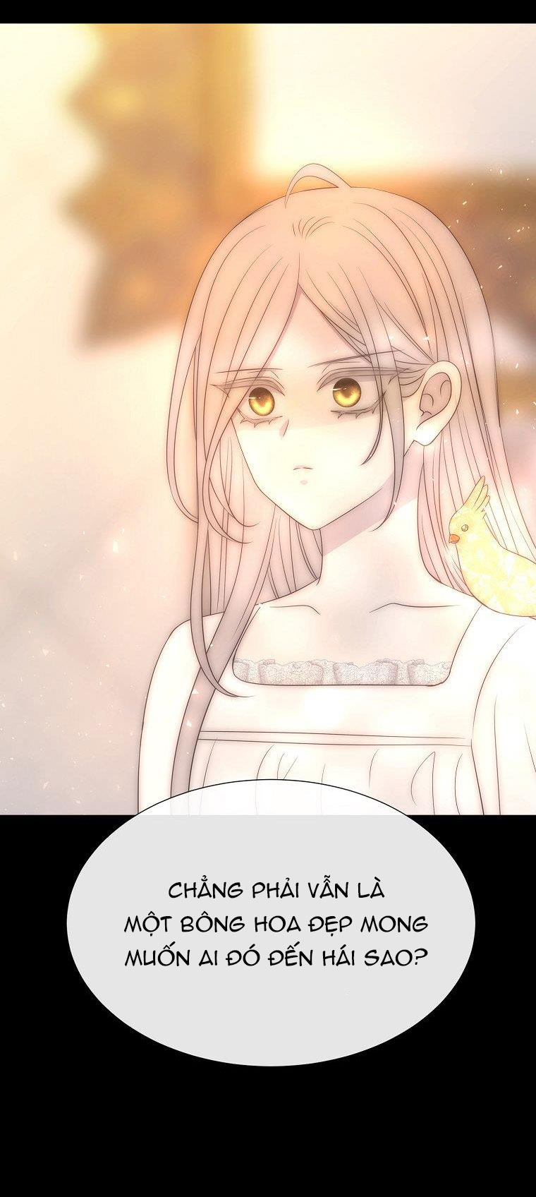 năm môn đệ của charlotte chapter 209.1 2