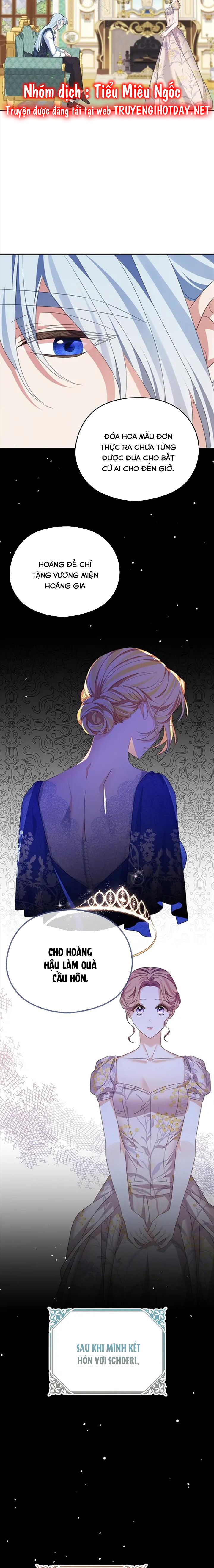 aster yêu dấu của tôi chapter 58 10