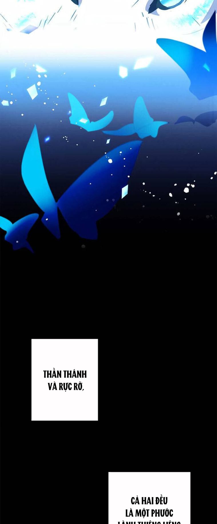 bình tĩnh nào, tiểu thư! chapter 7 5