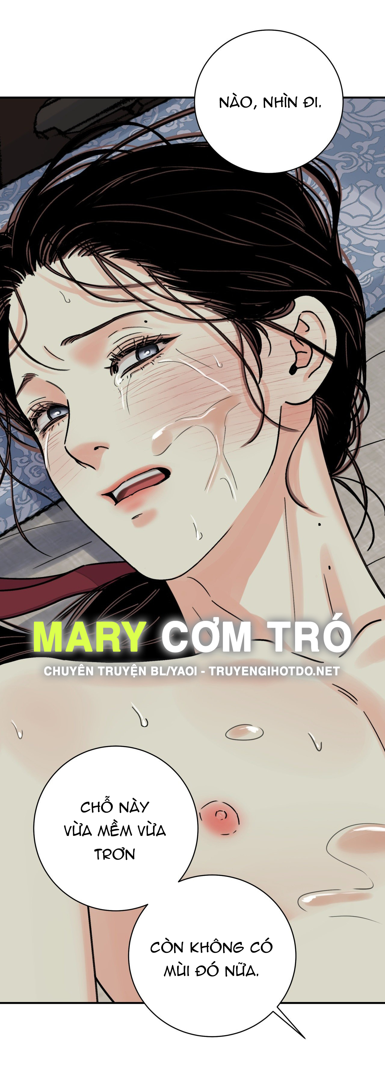 [18+] trượng kiếm tựa hoa chapter 62.1 15