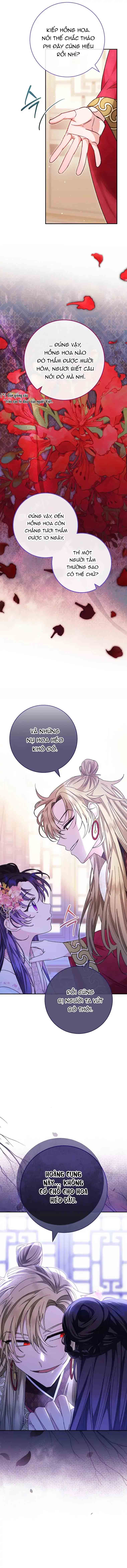 tiểu phi tần chỉ mong một đời an nhiên chapter 2.1 4