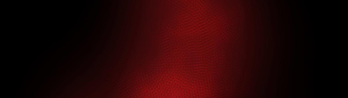 chuyện bên lề sau khi xuyên sách của ta và sư tôn chapter 41 41