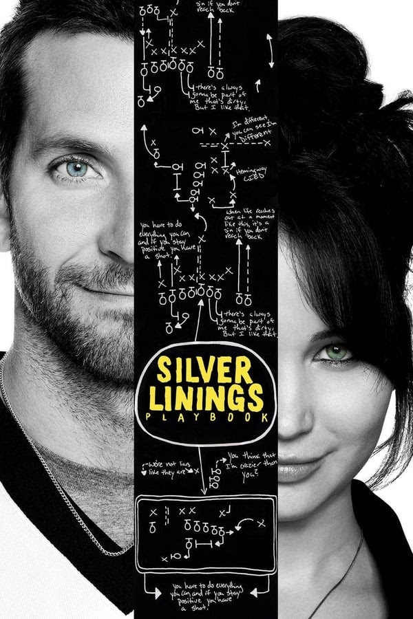 Tiểu Thuyết Tình Yêu - Silver Linings Playbook