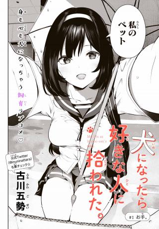 INU NI NATTARA SUKI NA HITO NI HIROWARETA - RAW