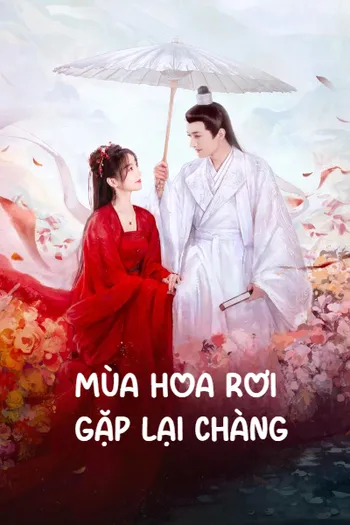 Mùa Hoa Rơi Gặp Lại Chàng - Love Never Fails