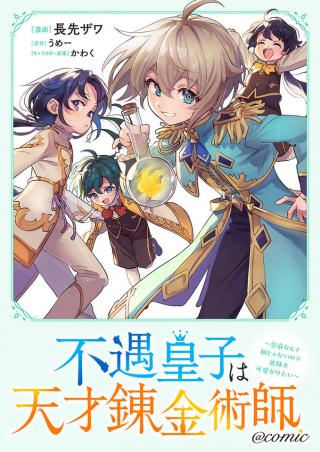 FUGUU OUJI WA TENSAI RENKINJUTSUSHI - KOUTEI NANTE GARA JANAI NO DE TEIMAI WO KAWAIGARITAI