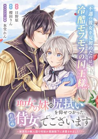 SEIJO NO IMOUTO NO SHIRINUGUI O OUSETSU KATTA, TADA NO JIJO DE GOZAIMASU: SHAZAISAKI NO SHISHIJINKOKU DE NAZEKA REIKOKU KURO OOK