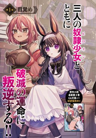 MUJIHINA AKUYAKU KIZOKU NI TENSEI SHITA BOKU HA SHOAKU MAHO WO KUSHI SHITE MAHO SEKAI NO CHOTEN NI TATSU HEROINE NANTEINAI TO AK