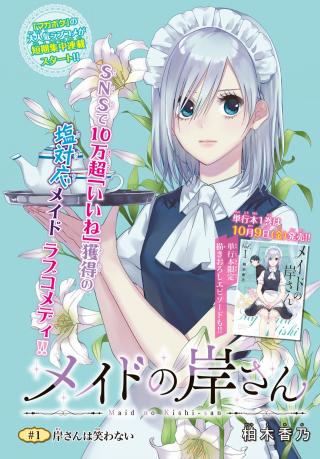 MAID NO KISHI-SAN - RAW