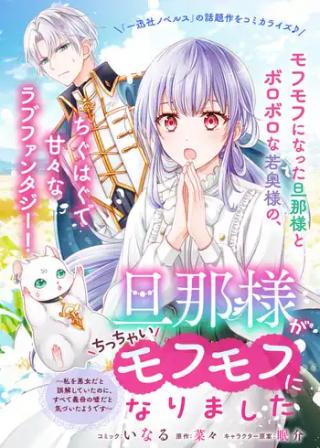 DANNA-SAMA GA CHICCHAI MOFUMOFU NI NARIMASHITA - WATASHI WO AKUJO DA TO GOKAI SHITEITA NO NI, SUBETE GIBO NO USO DA TO KIZUITA Y