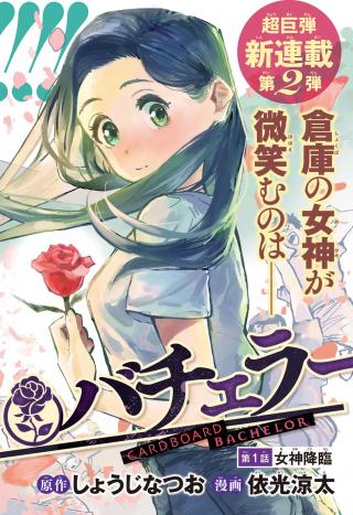 DANBOORU BACHELOR