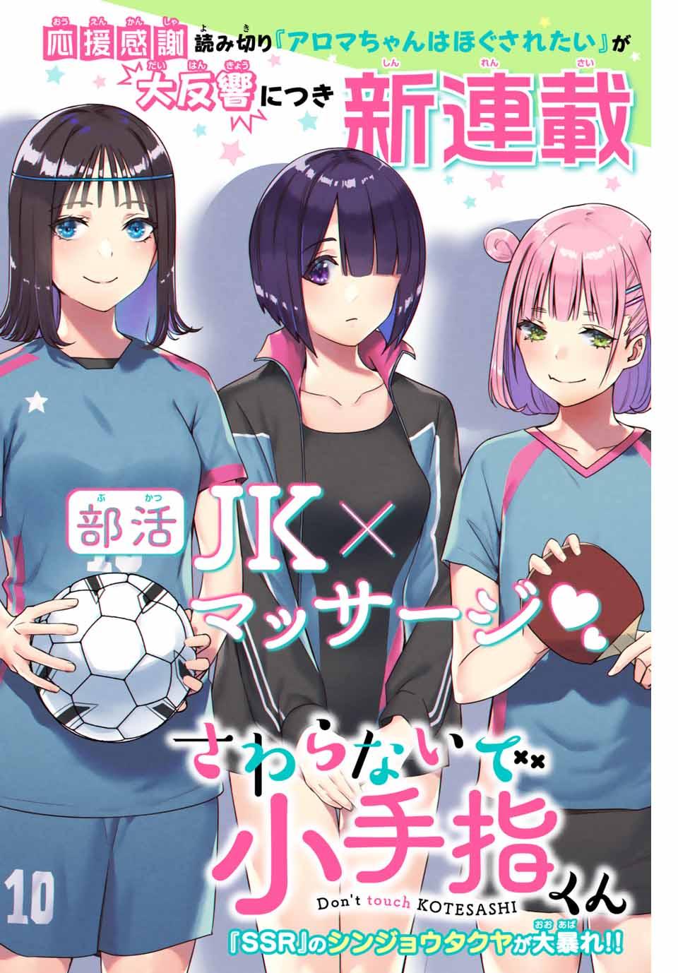 SAWARANAIDE KOTESASHI-KUN