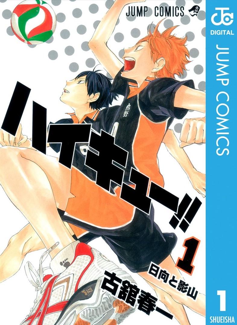 HAIKYUU!! - RAW