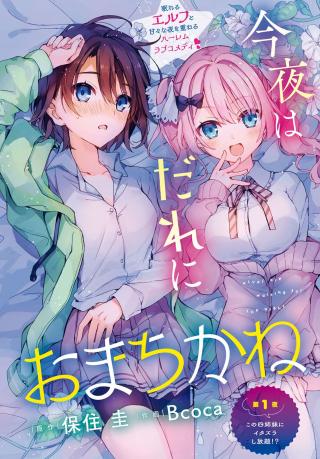 ELF WA YORU WO OMACHIKANE