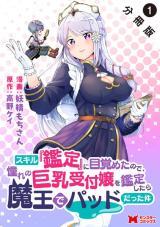SKILL "KANTEI" NI MEZAMETA NO DE, AKOGARE NO KYONYUU UKETSUKE JOOU WO KANTEI SHITARA MAOU DE PAD DATTA KEN