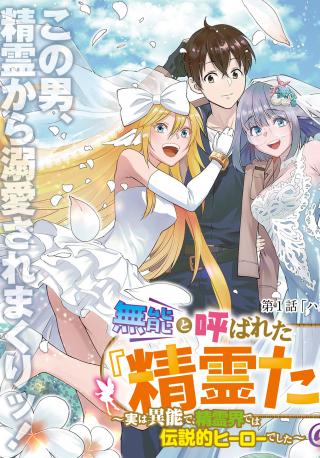 MUNOU TO YOBARETA "SEIREI TARASHI" - JITSUWA INOU DE, SEIREI KAIDE WA DENSETSUTEKI HERO DESHITA@COMIC