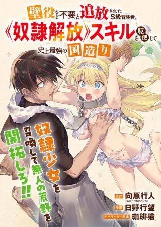 KABE YAKU NADO FUYOU TO TSUIHOU SARETA KYUU BOUKENSHA, “DOREI KAIHOU” SKILL O KUSHI SHITE SHIJOU SAIKYOU NO KUNIZUKURI