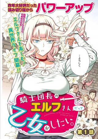 KISHI DANCHOU NO ELF-SAN DATTE OTOME GA SHITAI