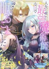 JINSEI NI TSUKARETA SAIKYOU MAJUTSUSHI WA AKIRAMETE NEMURU KOTO NI SHITA