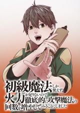 SHOKYUU MAHOU SHIKA TSUKAEZU, KARYOKU GA TARNAI NODE TETTEITEKI NI KOUGEKI MAHOU NO KAISUU O FUYA SHITE MIRU KOTO NI SHIMASHITA