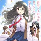 SEISHUN BUTA YAROU WA LOGICAL WITCH NO YUME WO MINAI