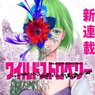 WILD STRAWBERRY (YONEMOTO IRE)