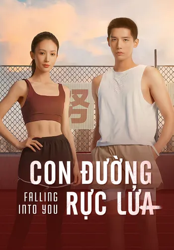 Con Đường Rực Lửa - Falling Into You