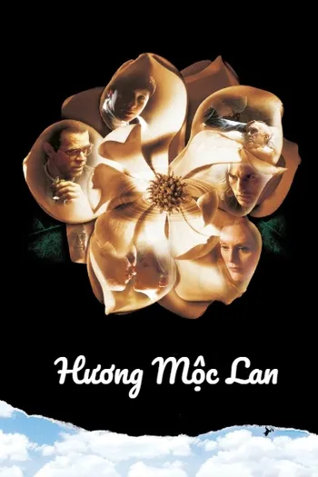 Hương Mộc Lan - Magnolia