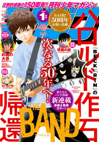 THE BAND
