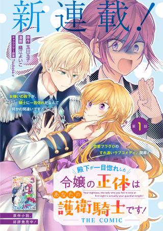 DENKA GA HITOMIBORE SHITA REIJOU NO SHOUTAI WA ANATA NO GOEIKISHI DESU! THE COMIC