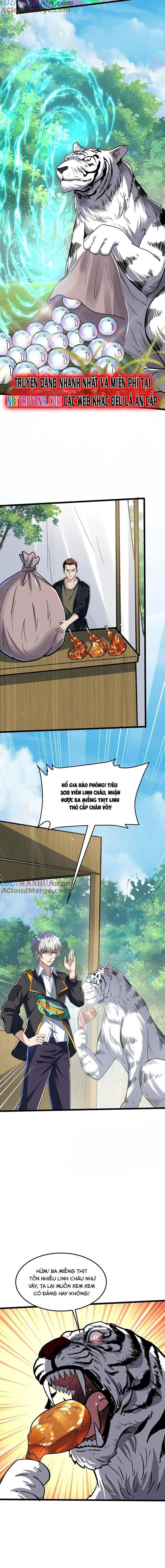 Linh Khí Khôi Phục: Ta Mỗi Ngày Thu Được Một Cái Kỹ Năng Mới - Page 2