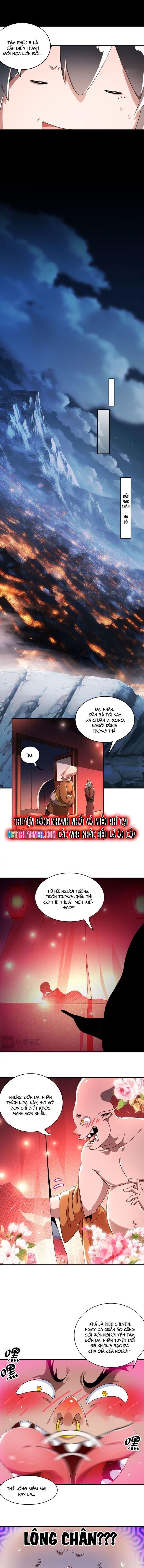 Tuyệt Sắc Đạo Lữ Đều Nói Ngô Hoàng Có Thể Chất Vô Địch - Page 3